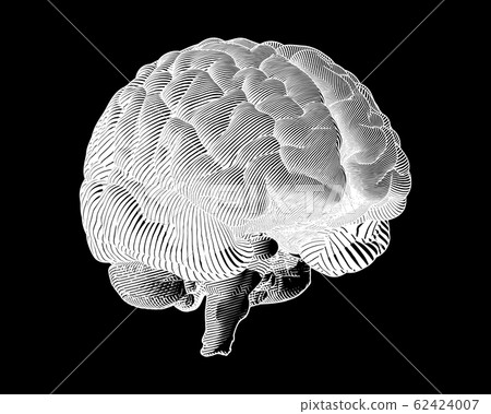 Negative engraving brain illustration on dark BG Negative engraving brain illustration on dark BG 62424007