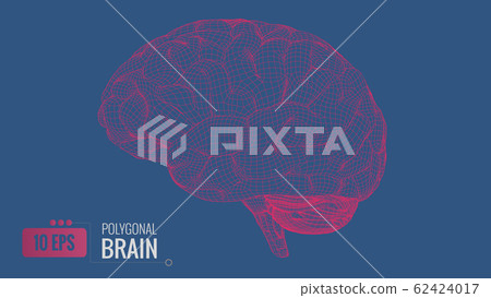 3D polygonal wireframe brain on blue BG 3D polygonal wireframe brain on blue BG 62424017