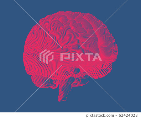 Red engraving brain illustration on blue BG - Stock Illustration ...