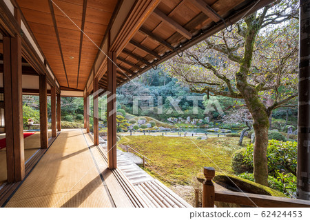 京都Shore仁寺的花園景觀 62424453