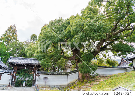 京都Shore-in樟樹 京都Shore-in樟樹 62424724