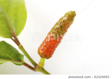 Butterfly berries 62426085