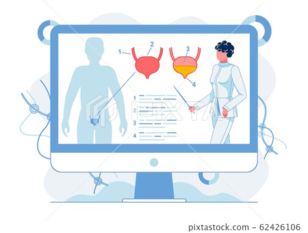 Studying Human Bladder Anatomy Flat Illustration 62426106