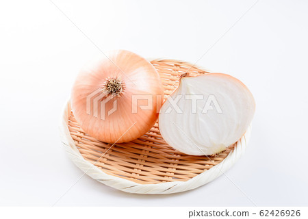 穀倉洋蔥 62426926