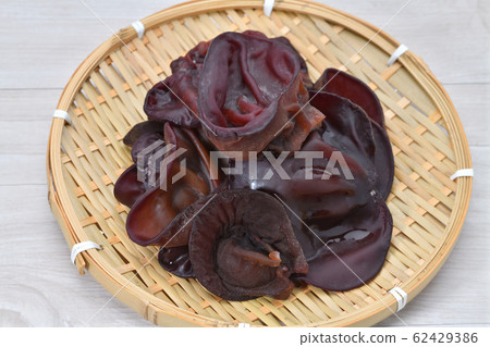 Raw jellyfish (jellyfish, tree ears). A kind of mushroom from Shizuoka Prefecture. 62429386