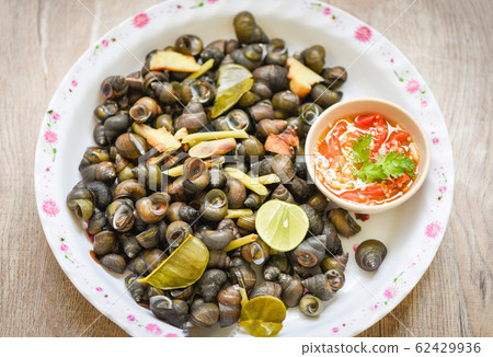 Boiled freshwater snail with spicy chili sauce - Boiled freshwater snail with spicy chili sauce - 62429936