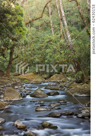 Savegre River the cleanest river in Central America San Gerardo de Dota Quetzales National Park  A mountain paradise in Costa Rica 62430158