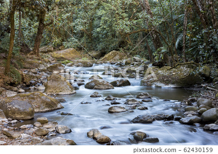 Savegre River, San Gerardo de Dota. Quetzales National Park, Costa Rica. The cleanest river in Central America 62430159