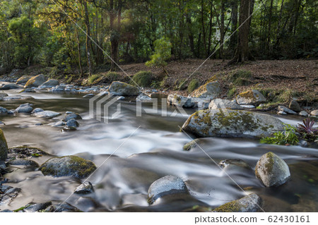 Savegre River, San Gerardo de Dota. Quetzales National Park, Costa Rica. The cleanest river in Central America 62430161