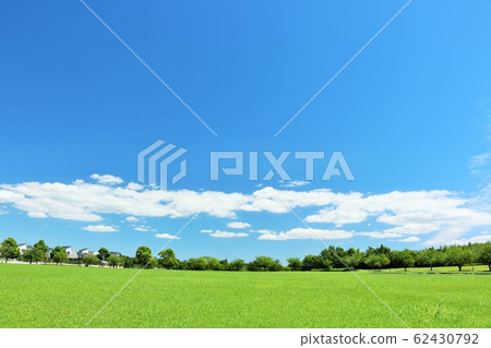 A refreshing summer blue sky and park landscape A refreshing summer blue sky and park landscape 62430792