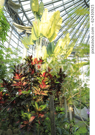 Sanyo Media Flower Museum Greenhouse Sanyo Media Flower Museum Greenhouse 62430925