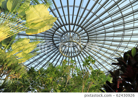 Sanyo Media Flower Museum Greenhouse Sanyo Media Flower Museum Greenhouse 62430926