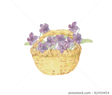 Violet flower basket 62434454