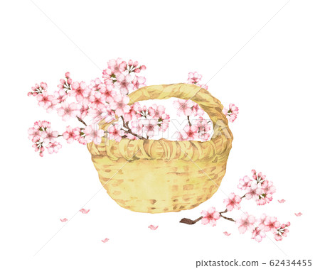櫻花籃子 62434455