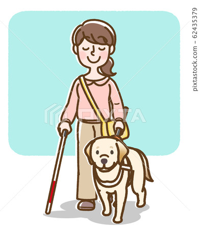 Guide dog, bar handle, female, white cane, background 62435379