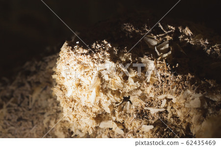 Pile of textolite saw dust 62435469