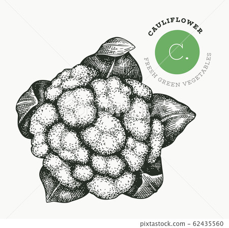 Hand drawn sketch style cauliflower cabbage. 62435560