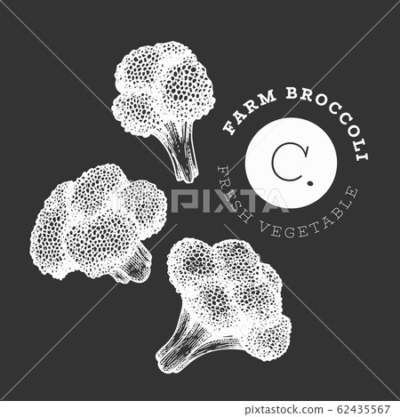 Hand drawn sketch style broccoli. Organic fresh Hand drawn sketch style broccoli. Organic fresh 62435567