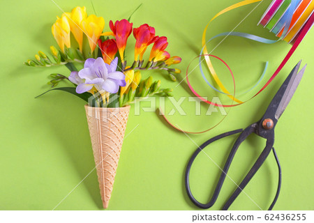 Freesias flowers in ice cream waffles and scissors Freesias flowers in ice cream waffles and scissors 62436255