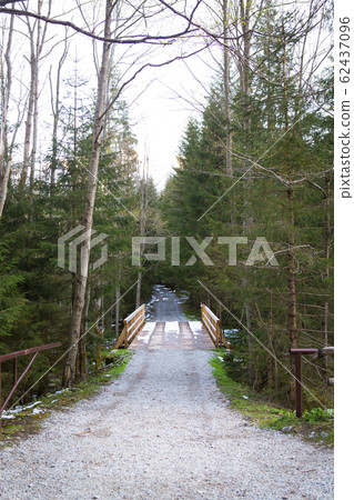 On the way to the sea eye in Poland. The road to 62437096