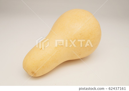 Butter nut pumpkin Butter nut pumpkin 62437161