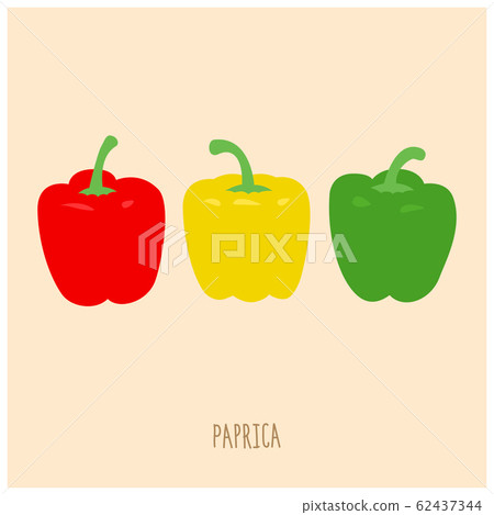 辣椒粉矢量圖 62437344