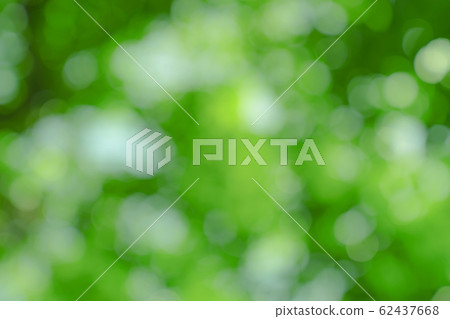 natural green bokeh abstract background,blurred natural green bokeh abstract background,blurred 62437668