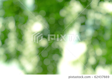 natural green bokeh abstract background,blurred 62437669