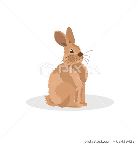 rabbit icon cartoon endangered wild australian animal symbol wildlife species fauna concept flat 62439422
