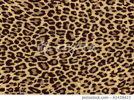Leopard pattern background material Leopard pattern background 62439423