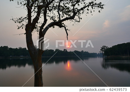The magic image of silhouette of the tree has red and orange color glowing fruit hanging on the ends of the branch, Beautiful sky and sun reflected on river at sunset, Siem Reap , Cambodia The magic image of silhouette of the tree has red and orange color glowing fruit hanging on the ends of the branch, Beautiful sky and sun reflected on river at sunset, Siem Reap , Cambodia 62439573
