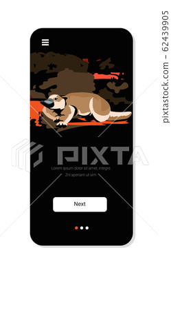 platypus running from forest fires in australia animals dying in wildfire bushfire natural disaster concept intense orange flames smartphone screen mobile app vertical copy space 62439905