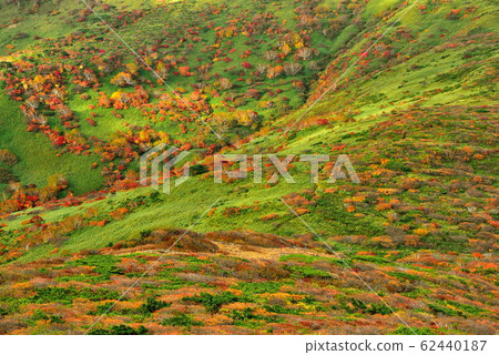 腮紅山 腮紅山 62440187