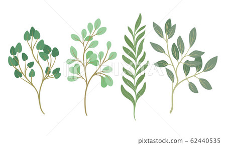 Tree Twigs and Branches with Green Leaves Vector Set 62440535