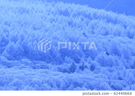 Shinshu Tateshina Kogen winter Shinshu Tateshina Kogen winter 62440668