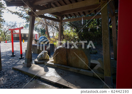 To木縣龜岡市八man宮 62442193