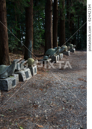 To木縣龜岡市八man宮 To木縣龜岡市八man宮 62442194