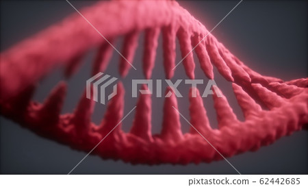 DNA molecule on the grey background DNA molecule on the grey background 62442685