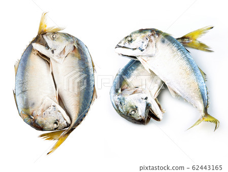 Mackerel fish to steam, Mackerel fish steamed on Mackerel fish to steam, Mackerel fish steamed on 62443165