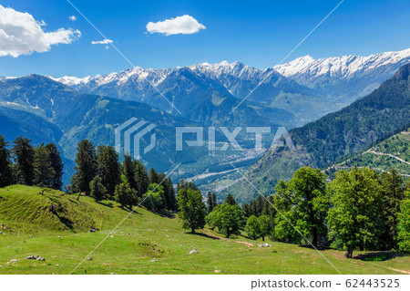 Spring in Kullu valley in Himalaya mountains. Himachal Pradesh, India 62443525