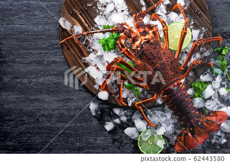 Lobster dark background Lobster dark background Lobster dark background Lobster dark background 62443580