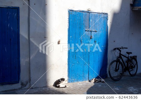Cat, blue door and a bicycle 62443636