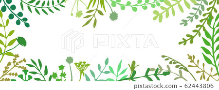Long floral banner. Great to place any text or quote. Eco header. Wild herbs and flowers. Botanical Long floral banner. Great to place any text or quote. Eco header. Wild herbs and flowers. Botanical 62443806