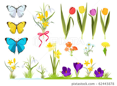 Cartoon flowers. Spring plants gardening set chamomile and tulips grass vector set 62443878