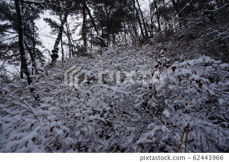 國家公園，北漢山，步道 62443966