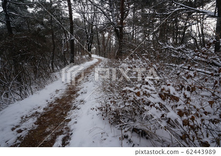 National Park, Bukhansan Mountain, Trail National Park, Bukhansan Mountain, Trail 62443989