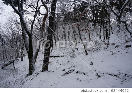 國家公園,北漢山,步道 國家公園,北漢山,步道 62444022