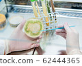 trichoderma on petri plate 62444365