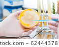 mold inoculation 62444378