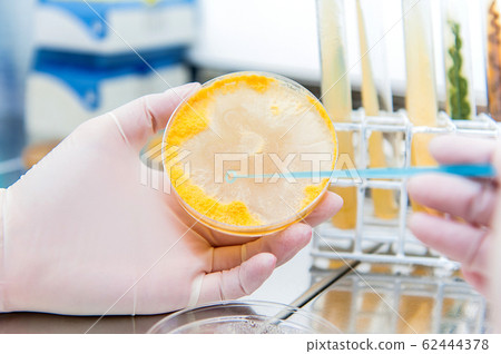 mold inoculation mold inoculation 62444378